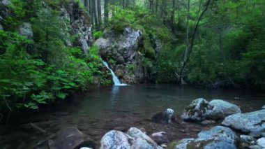 Kuzey Karadağ ormanında küçük bir şelale