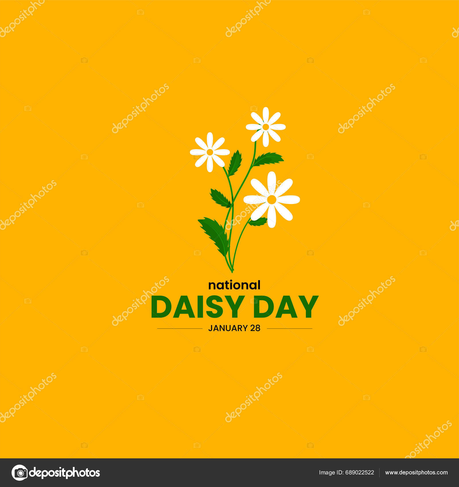 National Daisy Day Daisy Flower Vector Illustration Stock Vector by