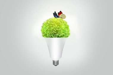 Çevre dostu ampul konsepti. Enerji tasarrufu aydınlatma kavramı. Tohum ekerken öncü ampul. Enerji ampulü kavramını sakla. Yaratıcı manipülasyona yol açtı. en iyi ışıklandırma kavramı.