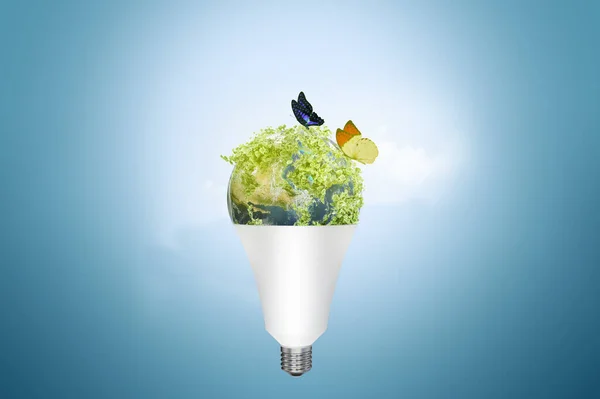 Концепція Екологічно Чистих Ламп Концепція Енергозбереження Освітлення Свинцева Лампочка Посіві — стокове фото