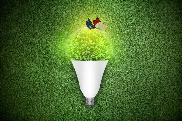 Eco friendly bulb concept. energy savings lighting concept. led bulb on seeding. save energy bulb concept. led light creative manipulation. best lighting concept.