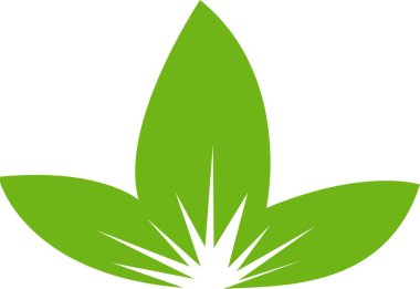 Yeşil yapraklı ekoloji doğa element vektör ikonu, Yaprak Simgesi. Yeşil renk. Yaprak yeşil renkli simge logosu. Beyaz arkaplanda yapraklar. Tasarım için zarif vektör tasarımcı unsurları dekoratif güzellik