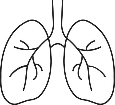 İnsan ciğerleri ikonu, solunum sistemi sağlıklı akciğerler anatomi yassı tıbbi organ ikonu beyaz arka planda izole edilmiş. hat tıbbi organ simgesi.