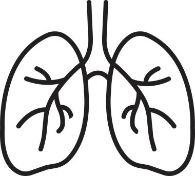 İnsan ciğerleri ikonu, solunum sistemi sağlıklı akciğerler anatomi yassı tıbbi organ ikonu beyaz arka planda izole edilmiş. hat tıbbi organ simgesi.