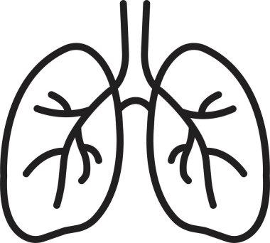 İnsan ciğerleri ikonu, solunum sistemi sağlıklı akciğerler anatomi yassı tıbbi organ ikonu beyaz arka planda izole edilmiş. hat tıbbi organ simgesi.