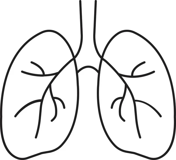 人肺图标 呼吸系统健康的肺解剖扁平的医疗器官图标 在白色背景下隔离 线形医疗器官图标 — 图库矢量图片