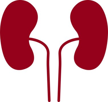 Kırmızı Dolgu Diyaliz simgesi. Tıbbi ve sağlık koleksiyonundan vektör çizimi. Web ve mobil uygulamalarda kullanılacak düz sembol, logo, şeffaf arkaplanda izole edilmiş yazdırma ortamı.