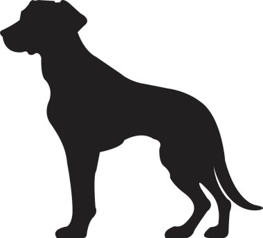 Siyah yassı köpek silueti. Açık şekil ya da yol yok. Köpek cinsi, veteriner, köpek gezdirme, evcil hayvan bakıcılığı ilhamı. Köpek şovu, yarışma, evcil hayvan dükkanı, şeffaf arka planda izole rehber köpek..
