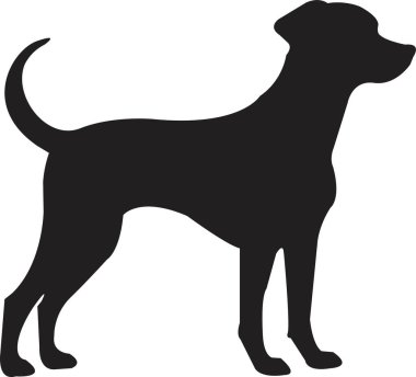 Siyah yassı köpek silueti. Açık şekil ya da yol yok. Köpek cinsi, veteriner, köpek gezdirme, evcil hayvan bakıcılığı ilhamı. Köpek şovu, yarışma, evcil hayvan dükkanı, şeffaf arka planda izole rehber köpek..