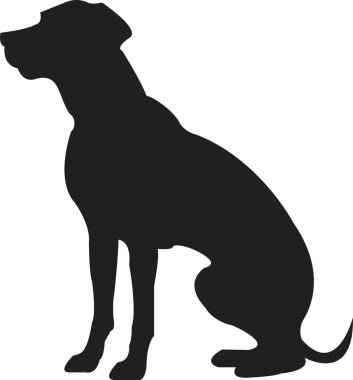 Siyah yassı köpek silueti. Açık şekil ya da yol yok. Köpek cinsi, veteriner, köpek gezdirme, evcil hayvan bakıcılığı ilhamı. Köpek şovu, yarışma, evcil hayvan dükkanı, şeffaf arka planda izole rehber köpek..