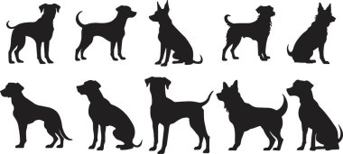 Düz köpek silueti seti. Açık şekil ya da yol yok. Köpek yetiştiricileri, veterinerler, köpek bakıcılığı, evcil hayvan bakıcılığı ilhamı. Köpek şovu, yarışma, evcil hayvan dükkanı, şeffaf arka planda izole rehber köpek..