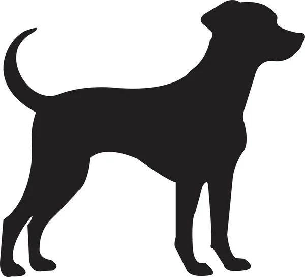 Siyah yassı köpek silueti. Açık şekil ya da yol yok. Köpek cinsi, veteriner, köpek gezdirme, evcil hayvan bakıcılığı ilhamı. Köpek şovu, yarışma, evcil hayvan dükkanı, şeffaf arka planda izole rehber köpek..