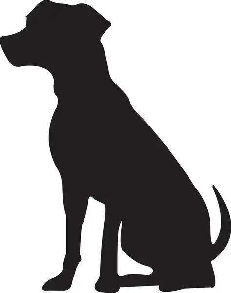 Siyah yassı köpek silueti. Açık şekil ya da yol yok. Köpek cinsi, veteriner, köpek gezdirme, evcil hayvan bakıcılığı ilhamı. Köpek şovu, yarışma, evcil hayvan dükkanı, şeffaf arka planda izole rehber köpek..