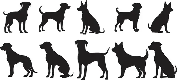 Düz köpek silueti seti. Açık şekil ya da yol yok. Köpek yetiştiricileri, veterinerler, köpek bakıcılığı, evcil hayvan bakıcılığı ilhamı. Köpek şovu, yarışma, evcil hayvan dükkanı, şeffaf arka planda izole rehber köpek..