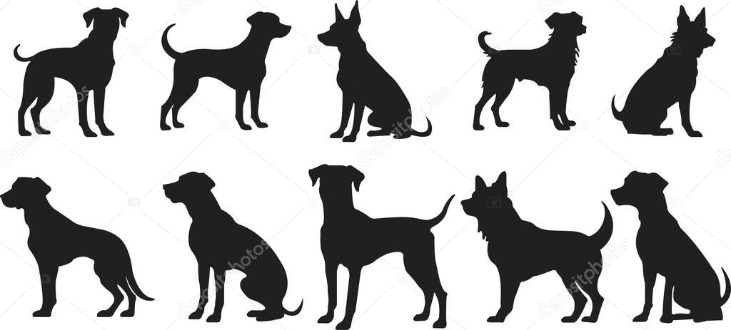 Set of flat Dog Silhouettes. No open shape or path. Dogs breeds, veterinary, dog standing, pet sitting logo inspiration. Dog show, competition, pet store, guide dog isolated on transparent background.
