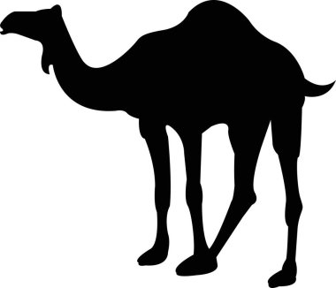 Deve doldurma simgesi. Şeffaf arkaplanda siyah deve işareti var. Çölün deve sembolü. Deve çölü logo tasarımı elementi. Deve Siluetleri Vektör İllüstrasyonu.