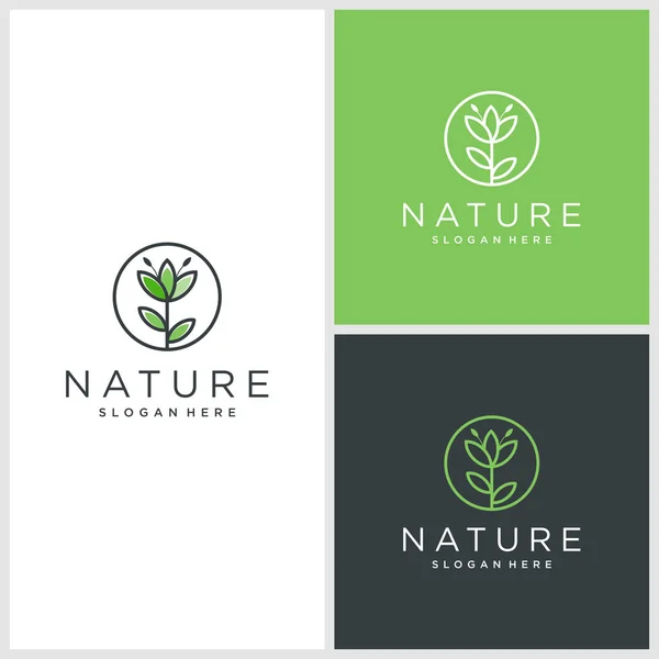 自然なロゴデザインのインスピレーション オーガニック プレミアムベクター — ストックベクタ