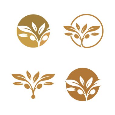 Yaratıcı konsepte sahip zeytin logosu tasarımı element vektörü