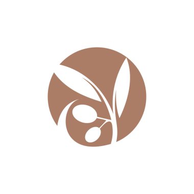 Yaratıcı modern konsepte sahip zeytin logosu tasarımı element vektörü