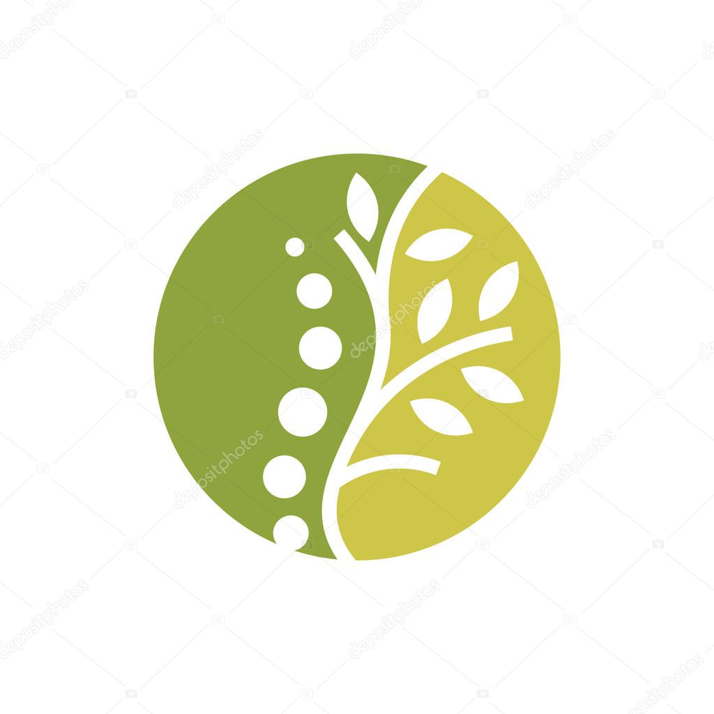Chiropractic logo design icon element with modern creative concept
