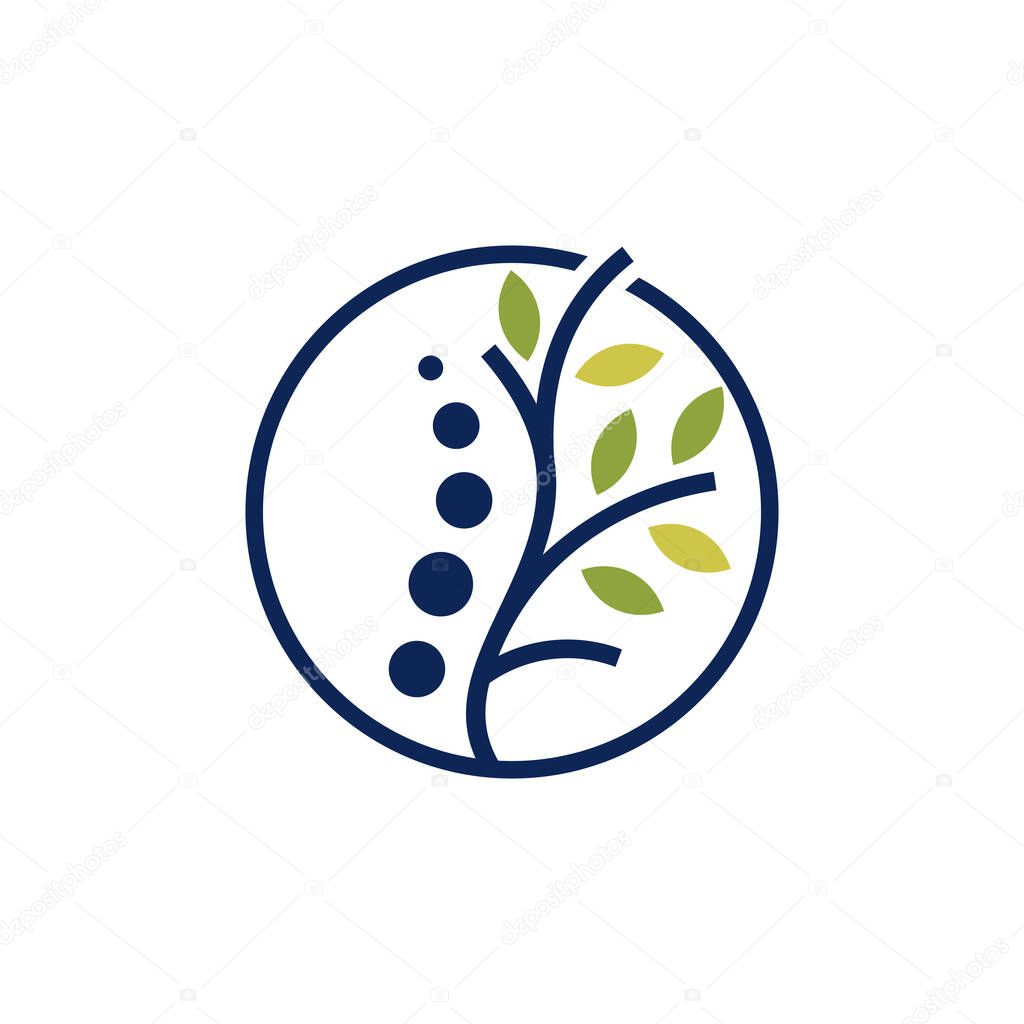 Chiropractic logo design icon element with modern creative concept