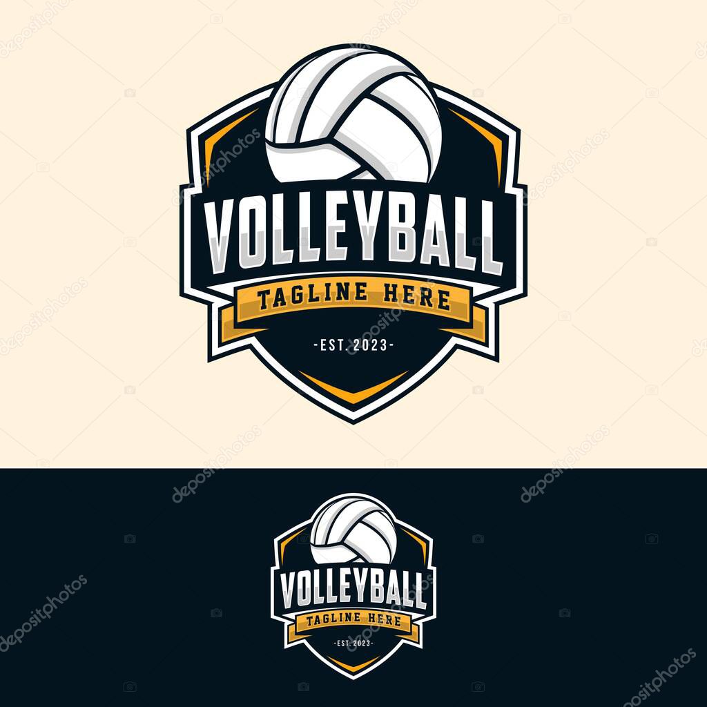 Volleyball logo design vector illustration, for volleyball club