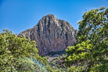Arkasında bir dağ olan güzel bir manzara.