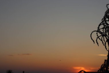 Parkta güzel bir gün batımı