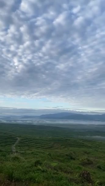 배경에 농장과 구름이 파푸아 인도네시아의 측에서 화창한 비디오 — 비디오