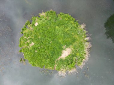 green grass and a lake