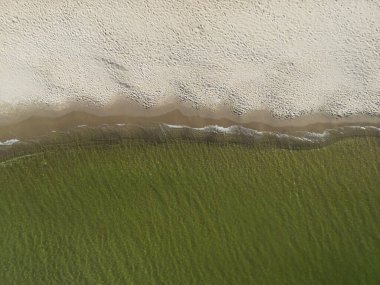 Baltık deniz plajının yaz mevsiminde kum tepeleri olan hava aracı görüntüsü..
