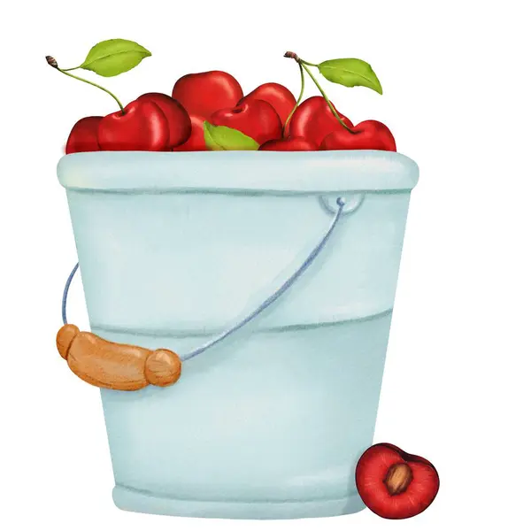 Enchanting Garden Scene Ripe Cherries Rustic Tin Bucket Perfect Illustrating — Stock Photo, Image