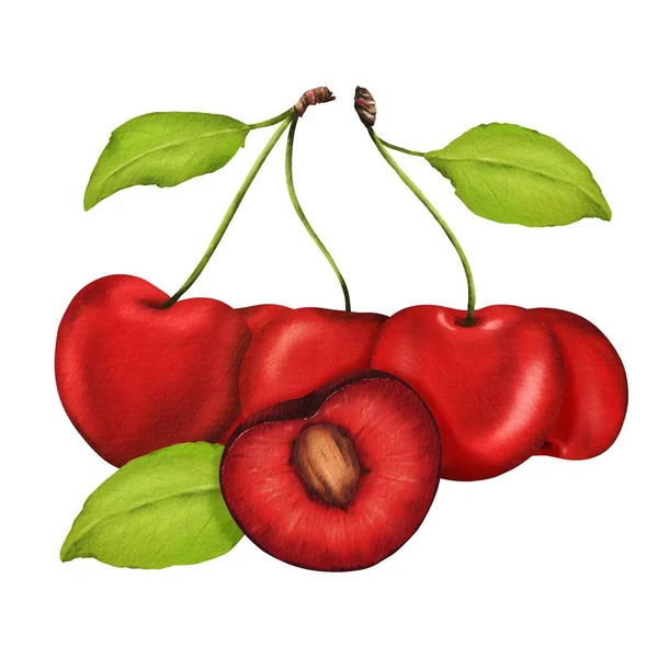 明甜成熟的樱桃与茎和叶子的组合 夏天的红色多汁美味的浆果 理想的果汁 柠檬水 口香糖指纹 水彩画孤立插图 — 图库照片