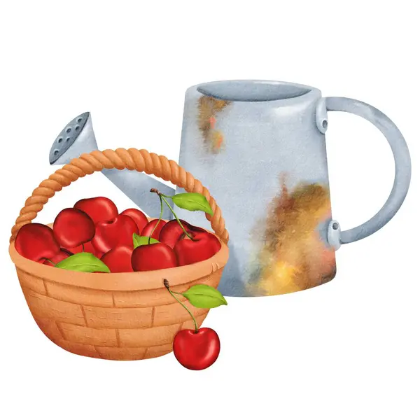 Cozy Garden Composition Harvest Sweet Ripe Juicy Cherries Wicker Basket — Stock Photo, Image