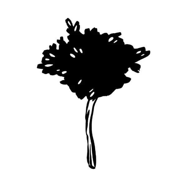 Mürekkeple Çizilmiş Vektör Mandarin Ağacı Eskizi Logo Tasarımı Bir Talyan — Stok Vektör