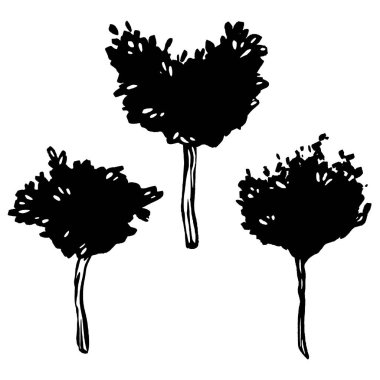 Hazır ol. El çizimi mürekkep vektörü. Mandarin ağacı çizimi. Logo konsepti. Bir İtalyan bitki örtüsünün taslağı. Bir bahçe ve kentsel özellik. Mimari dış görünüş. Parmak izleri ve logolar için mükemmel..