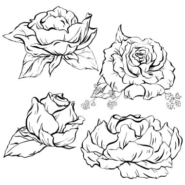 Mürekkep: Çiçeklerde narin açık gül çiçekleri ve ağaçlık alanlarda 