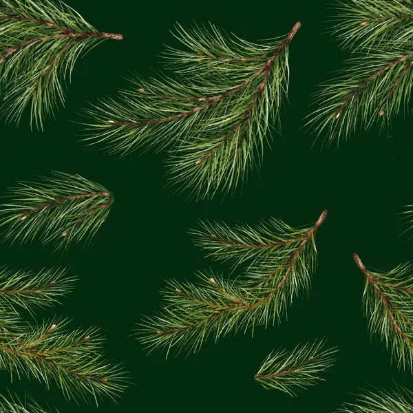 Nahtloses Muster Kiefernzweig Aquarell Isolierte Illustration Grünen Natürlichen Wald Weihnachtsbaum — Stockfoto