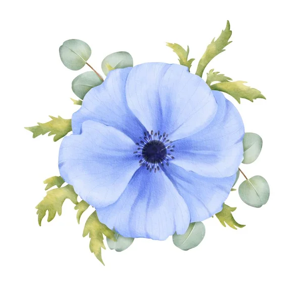 Eine Blaue Anemonenblüte Mit Frischem Grün Und Eukalyptusblättern Aquarell Illustration — Stockfoto