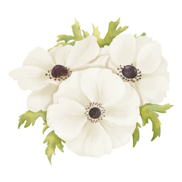 Tender Watercolor Depiction Showcasing Bouquet White Anemones Fresh Greenery Suitable — Stock Photo, Image