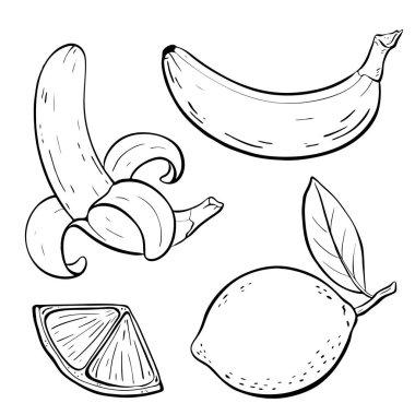 İzleyiciyi büyüleyen zarif çizgi sanatında muzlar, limonlar ve limon dilimlerinin şakacı bir çizimi. Vektör çizimi çizimi. 