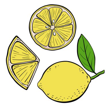 Canlı limon meyvesi ve lezzetli dilimleri, çeşitli mutfak yaratımları ve sağlık temaları için mükemmel. Vektör illüstrasyonu