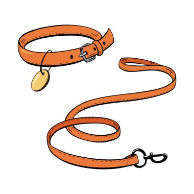 This orange dog collar paired with a leash is perfect for enjoyable pet walks and exciting outdoor adventures.Vector illustration. Pet shop clipart