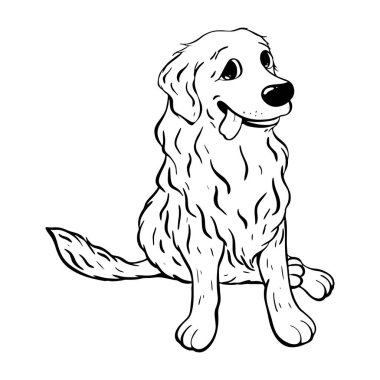 Neşeli ve neşeli Golden Retriever mutlu bir şekilde oturur, bu da onu pettemalı tasarımlar için ideal bir seçim yapar. Vektör çizimi çizimi. Evcil hayvan dükkanı
