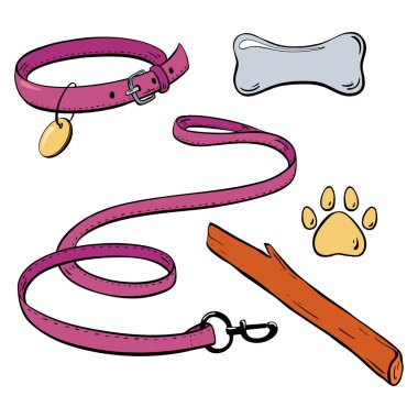 Köpekler için tasma, tasma ve kemik gibi çeşitli temel aksesuarları gösteren bir illüstrasyon. Vektör çizimi. Evcil hayvan dükkanı