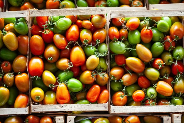 Mercado Del Tomate Comida Italiana —  Fotos de Stock