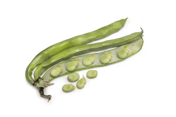 Broad Beans Izolované Bílém Pozadí Vicia Faba Celá Řez Fava — Stock fotografie
