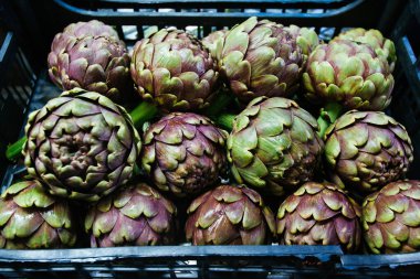 Tarla çiftliğinde enginar kutusu