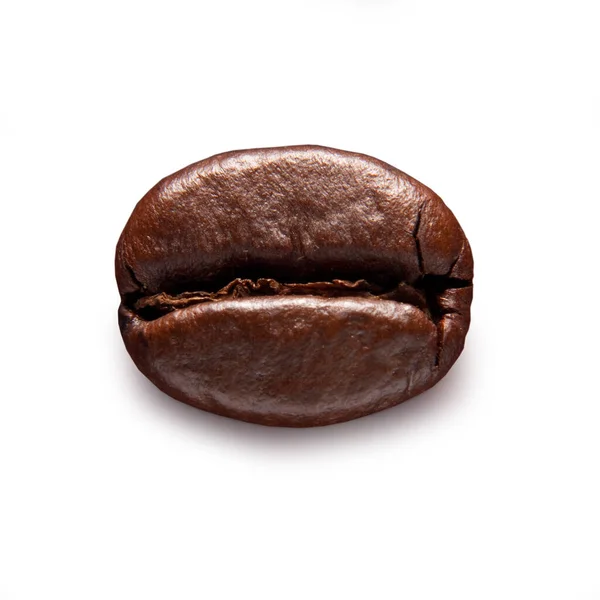 Kahve çekirdeği, beyaz arka planda izole edilmiş tek bir Robusta Kahve Fabrikasının Siyah Tohumu Makro Fotoğrafı, İtalyan Espresso Detaylı Doku, Yüksek Çözünürlük