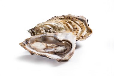 Beyaz arka plan üzerinde taze istiridye